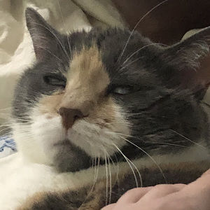 Meet your Posher, Simon